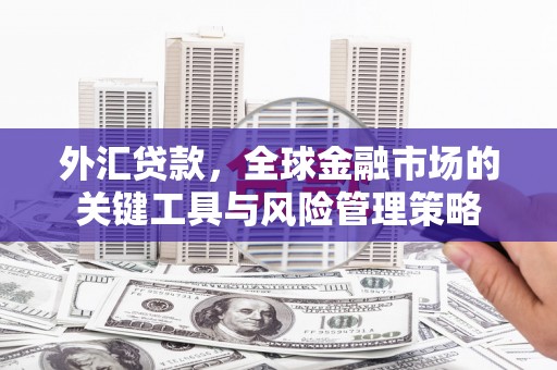 清涧外汇贷款，全球金融市场的关键工具与风险管理策略