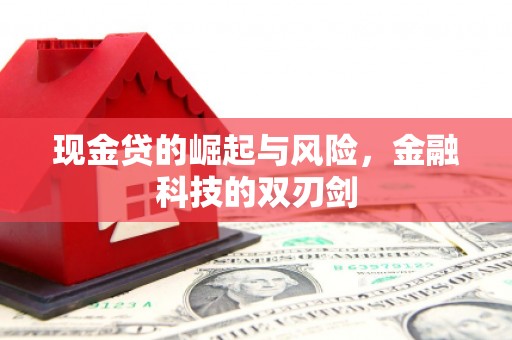 清涧现金贷的崛起与风险，金融科技的双刃剑
