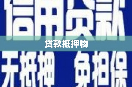 清涧贷款抵押物