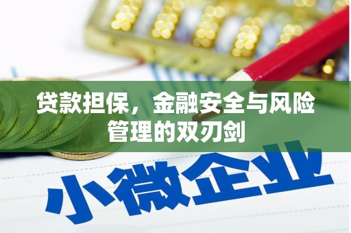 清涧贷款担保，金融安全与风险管理的双刃剑