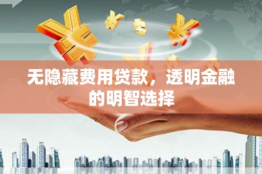 清涧无隐藏费用贷款，透明金融的明智选择