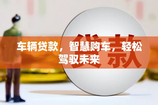 清涧车辆贷款，智慧购车，轻松驾驭未来