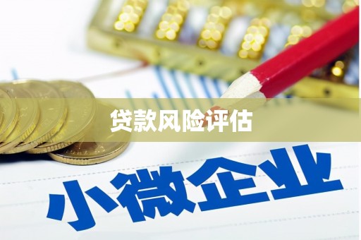 清涧贷款风险评估