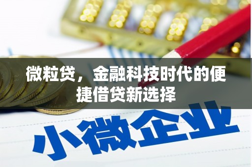 清涧微粒贷，金融科技时代的便捷借贷新选择