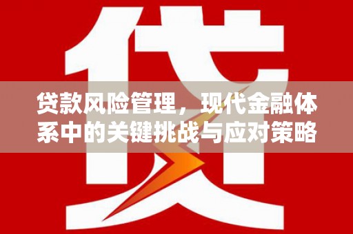 清涧贷款风险管理，现代金融体系中的关键挑战与应对策略