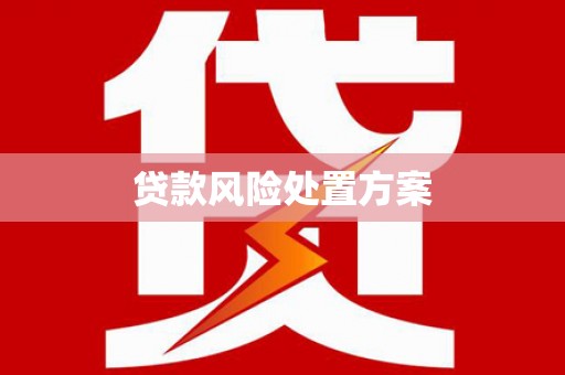 清涧贷款风险处置方案