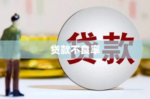 清涧贷款不良率