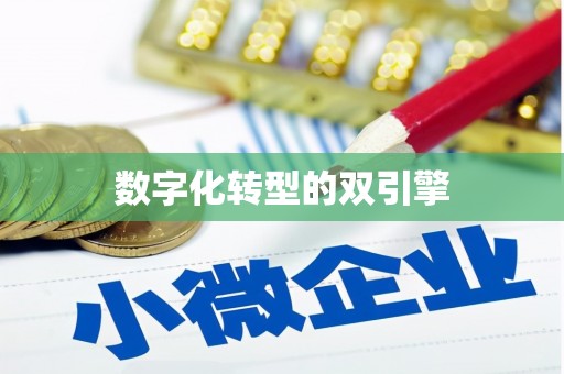 清涧数字化转型的双引擎