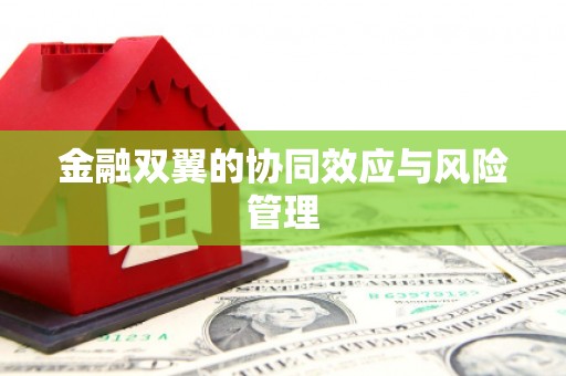 清涧金融双翼的协同效应与风险管理